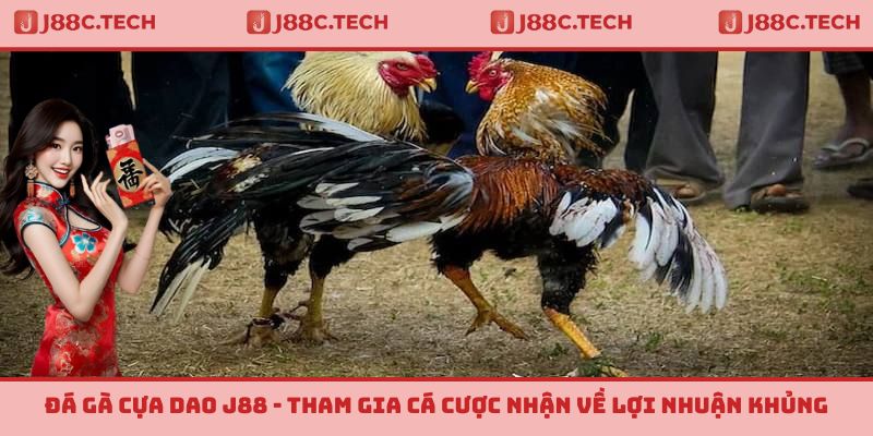 Đá Gà Cựa Dao J88 - Tham Gia Cá Cược Nhận Về Lợi Nhuận Khủng