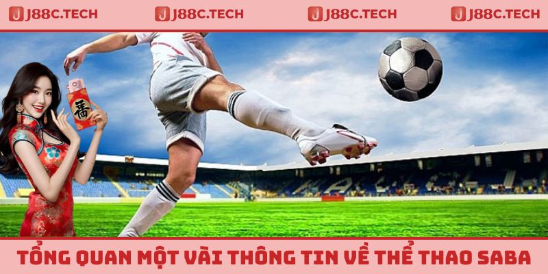 Tổng quan một vài thông tin cần nắm được về sảnh thể thao SABA